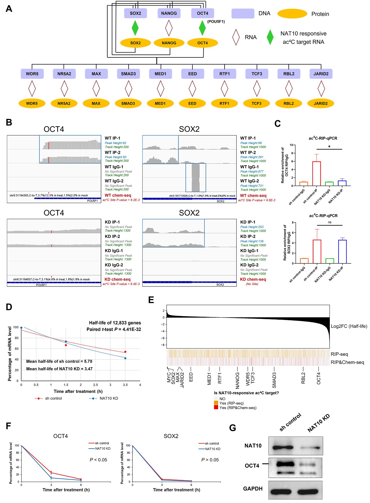 3221a64bd8fd46838283b4fe5602d5b9.jpg 成果图4.jpg