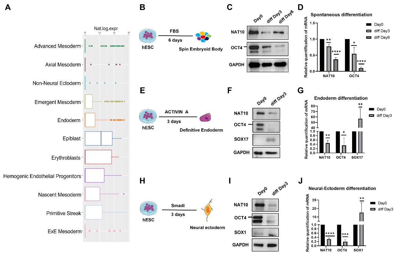d29fec2c906b49a19c8061dfc66fc350.jpg 成果图2.jpg